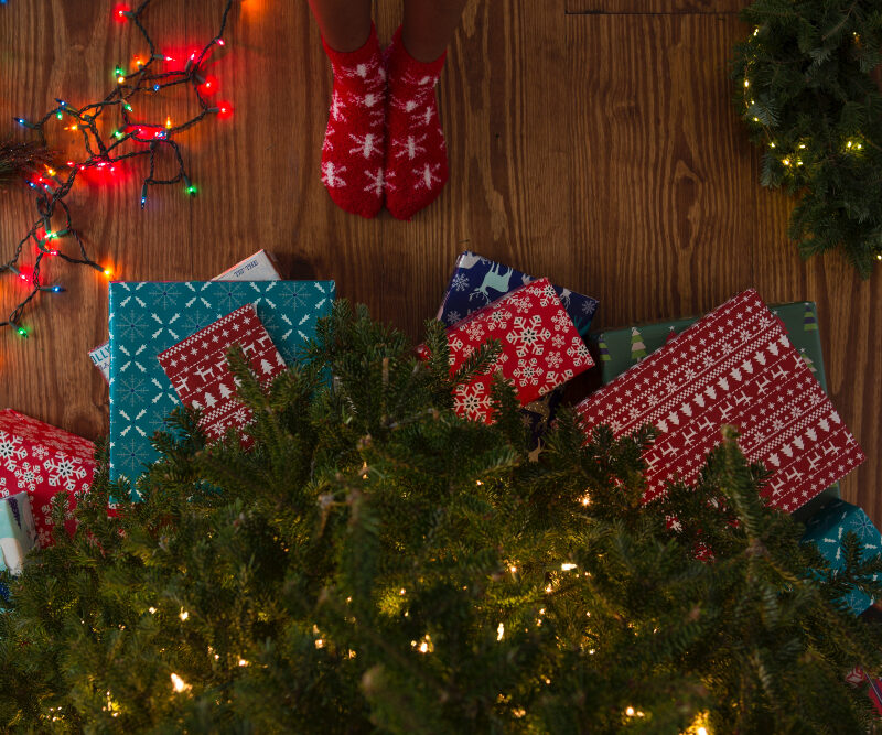 Los regalos de navidad que esperamos debajo del árbol